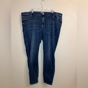 ‼️5 FOR $15‼️ Lane Bryant Skinny Jeans